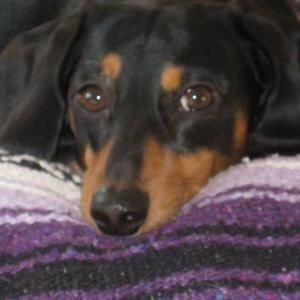 Meet your Posher, Denise